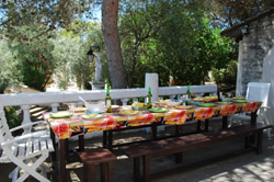 Dining Terrace looking towards ornamental pond