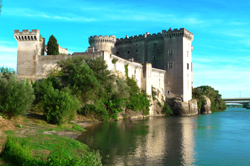 Chateau at Tarascon