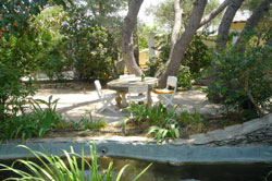 Pond garden