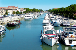 Marina looking towards the river Rhone