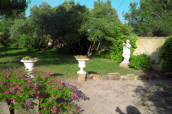Part of garden